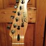 Fenix Vintage Thinline Telecaster Image 4
