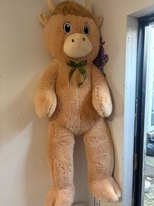 Giant highland cow teddy.