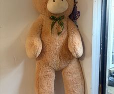 Giant highland cow teddy.