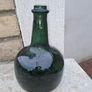 bottle onion Image 2