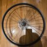 Mtb Image 3