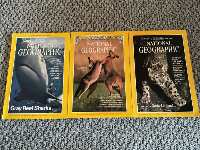 National Geographic Magazines + Books