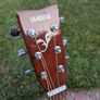 Yamaha F310 Acoustic Guitar Image 3