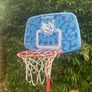 basketball hoop Image 2