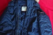 Tommy Hilfiger Padded Jacket with Hood