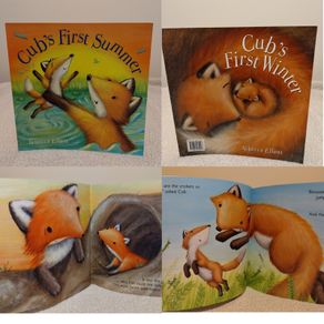 Cubs First Summer Children,s Story Book