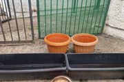 flowerpots