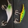 fishing Image 3