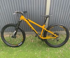 Mountain bike