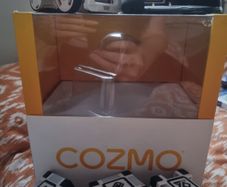 Cosmo Robot