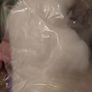 hamster acc Image 3