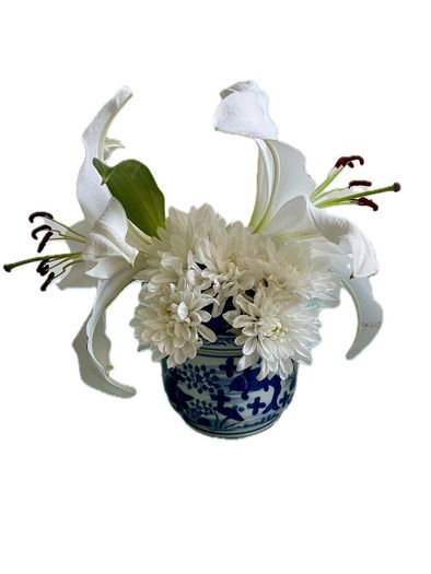 Chinese Blue and White Vase