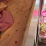 Kids bunk beds Image 2