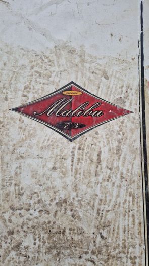 Bic Mini Malibu 7'3 Surfboard