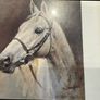 'we Three Kings, S. Crawford. Arkle, Red Rum, Desert Orchid Image 6