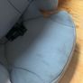 cybex solution car seat Image 3