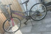 girls breeze bike