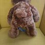 Build a Bear Teddies Image 4