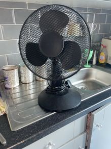 fan