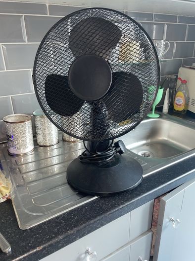 fan
