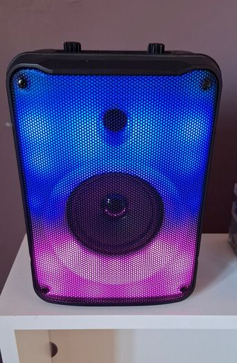 Portable Speaker