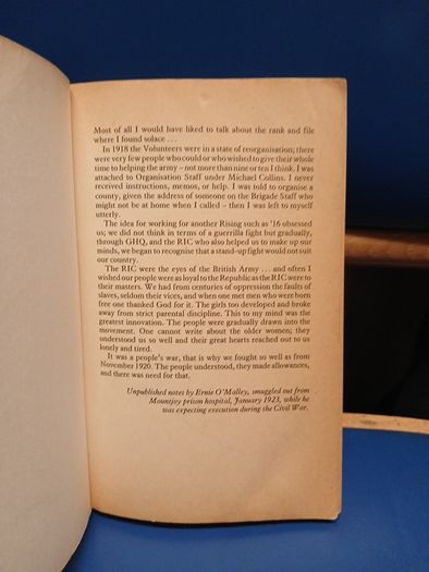 Raids and Rallies - Ernie O'Malley