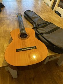 guitar and case