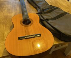 guitar and case