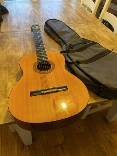 guitar and case