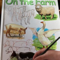 I can draw on the Farm hardcover book