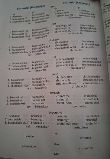 Focloir Poca Irish Dictionary (Irish - English / English - Irish)