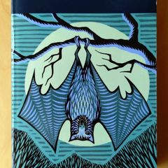 Dracula Wordsworth Classics Book