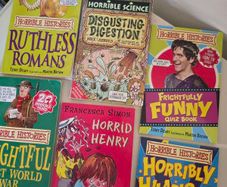 Kids Book Bundle  Horrible Histories Horrible Science  Horrid Henry