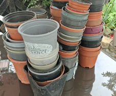 flower pots