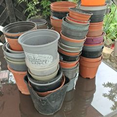 flower pots