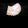Arctic Territories Banknote 14pcs/set Polar Bear Whale Lynx Animal Commemorative Vouchers Full Set Collection Fantesy Image 7
