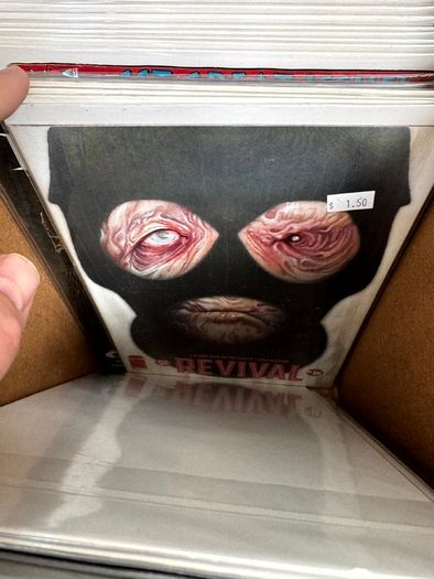 Indie Long Comic Box w 250 Comics for Sale