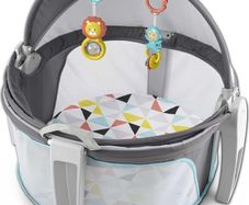 Fisher Price On the Go Baby Dome