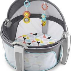 Fisher Price On the Go Baby Dome