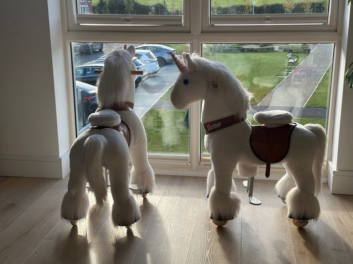 2 Unicorn riding ponies