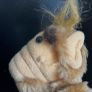 Vintage ALF Cling on Image 5
