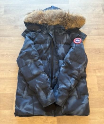 canada goose
