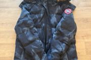 canada goose