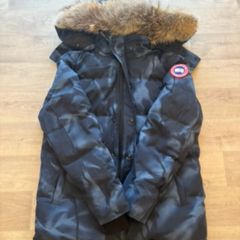canada goose