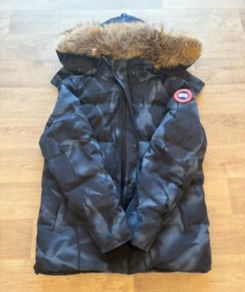 canada goose