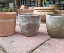 Terracotta pots