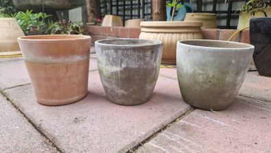 Terracotta pots