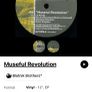 2004 blotnik brothers  Museful Revolution 12" vinyl Image 2