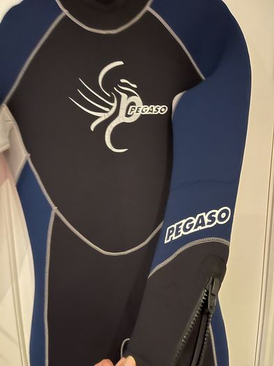 Wetsuit