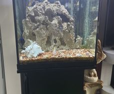 fish tanks
